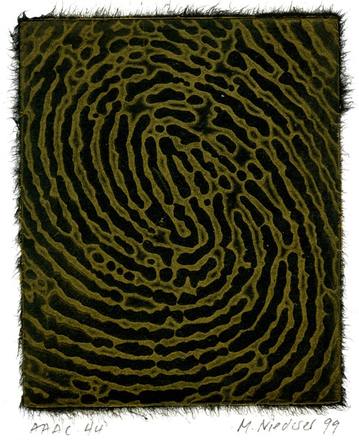 Mirjam Niederer, Senza titolo, opera vincitrice della prima edizione del Premio AAAC per giovani incisori, 1999